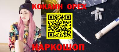 ГАЛЛЮЦИНОГЕННЫЕ ГРИБЫ Коммунар