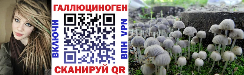 Псилоцибиновые грибы мухоморы  цена наркотик  Красноярск 